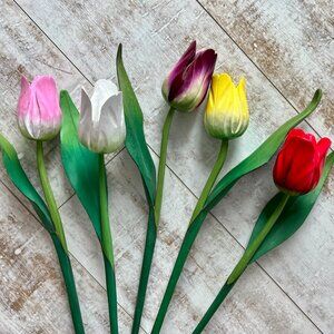 PRICE IS FIRM.  Gorgeous Assorted Wooden Long Stem Tulips (5)